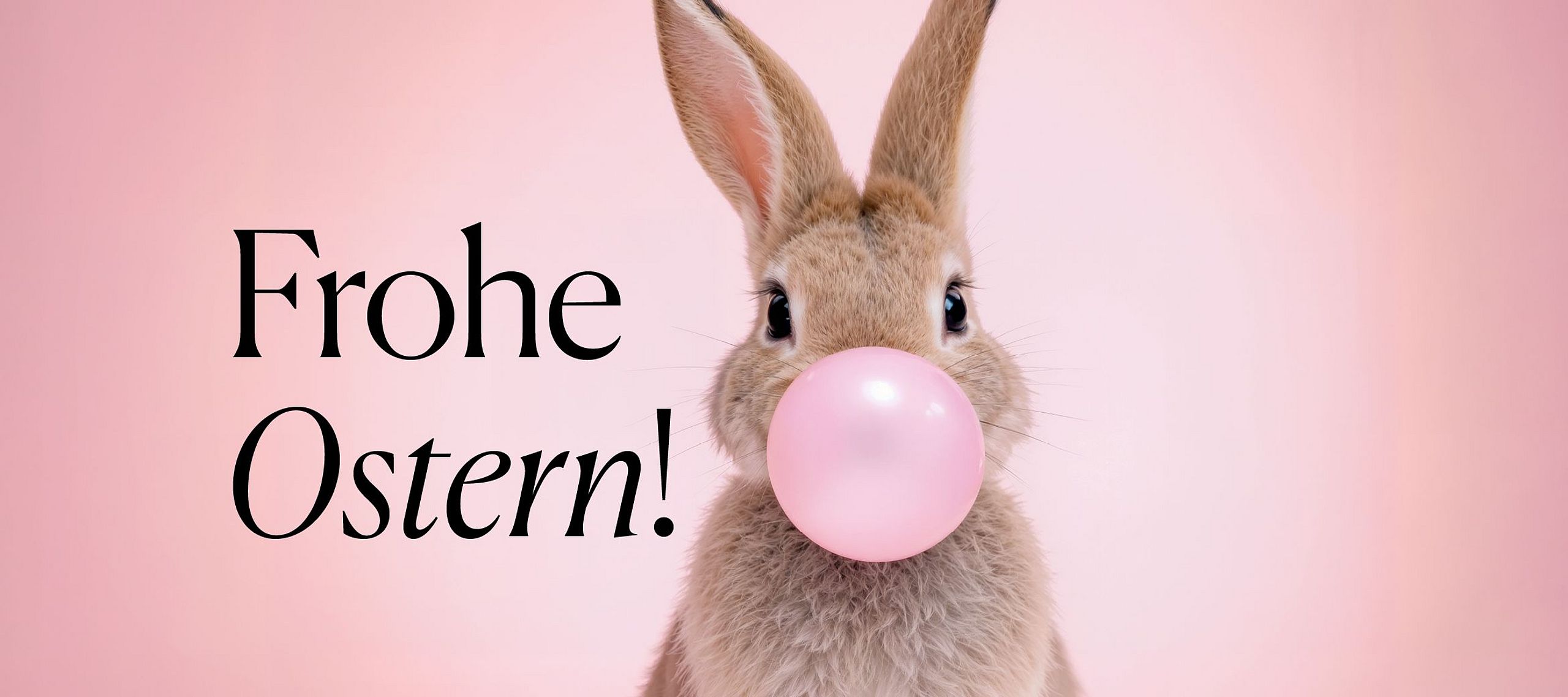 Geschenkideen entdecken