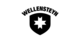 Designer_Outlet_Soltau_Wellensteyn_Logo.png
