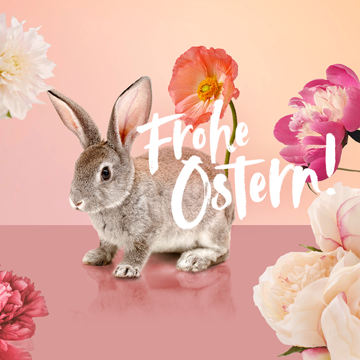 DOS_ONLINETeaser_Ostern_740x740px.jpg