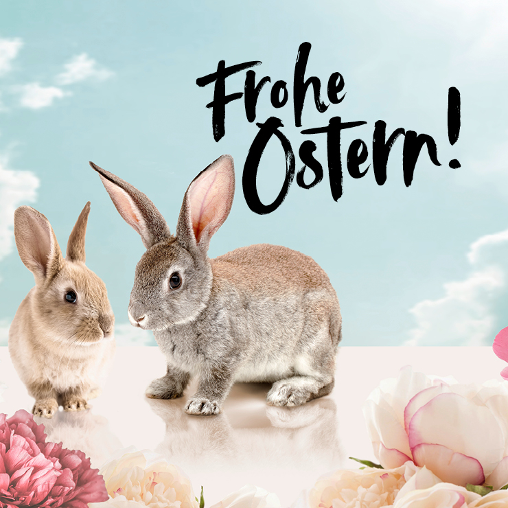 DOS_ONLINETeaser_Ostern_740_x_740px2.jpg